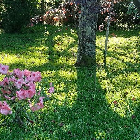 Quinta D'Avo Amelia Bed & Breakfast Alquerubim Luaran gambar