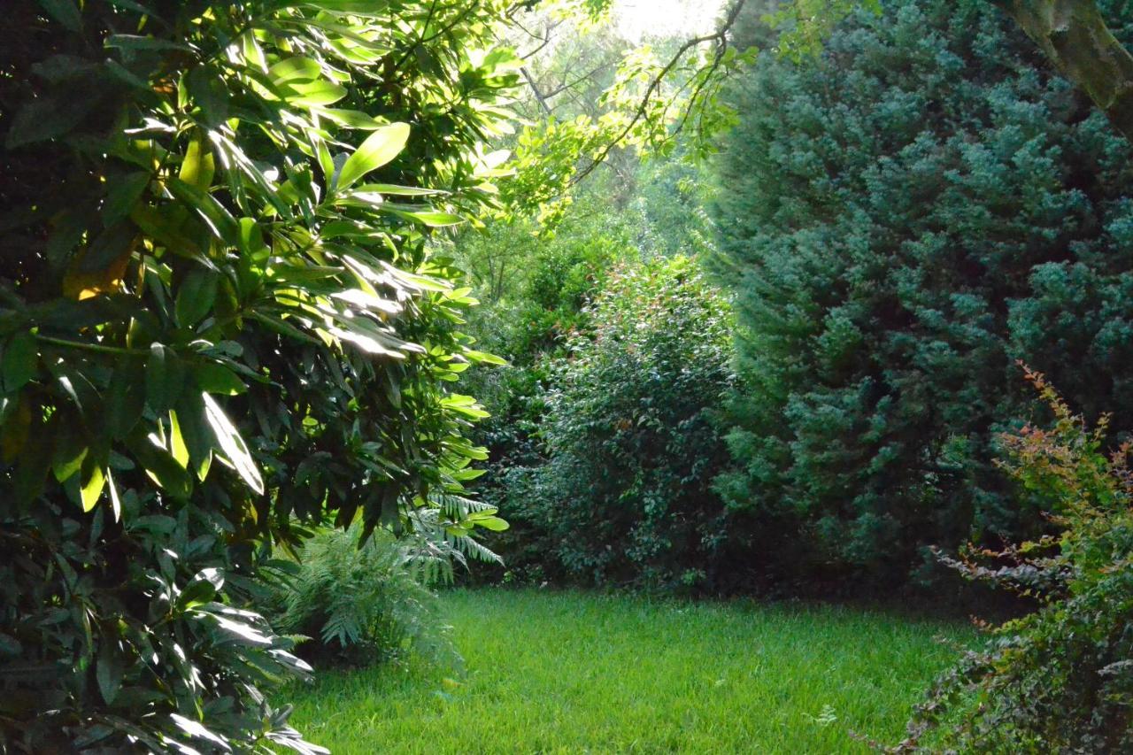 Quinta D'Avo Amelia Bed & Breakfast Alquerubim Luaran gambar