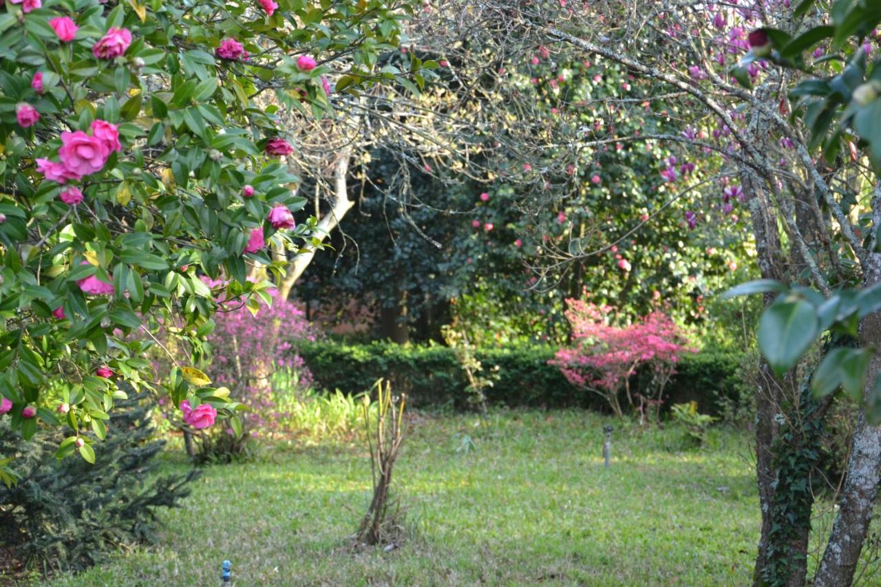 Quinta D'Avo Amelia Bed & Breakfast Alquerubim Luaran gambar