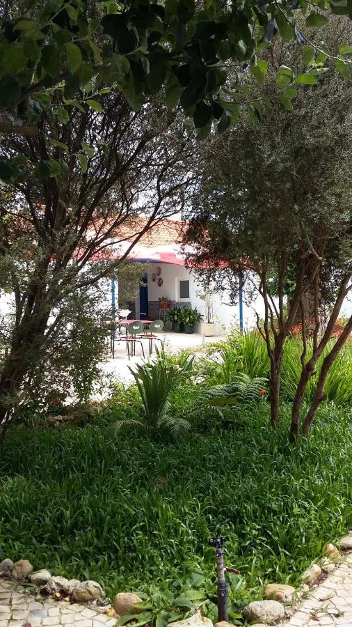 Quinta D'Avo Amelia Bed & Breakfast Alquerubim Luaran gambar