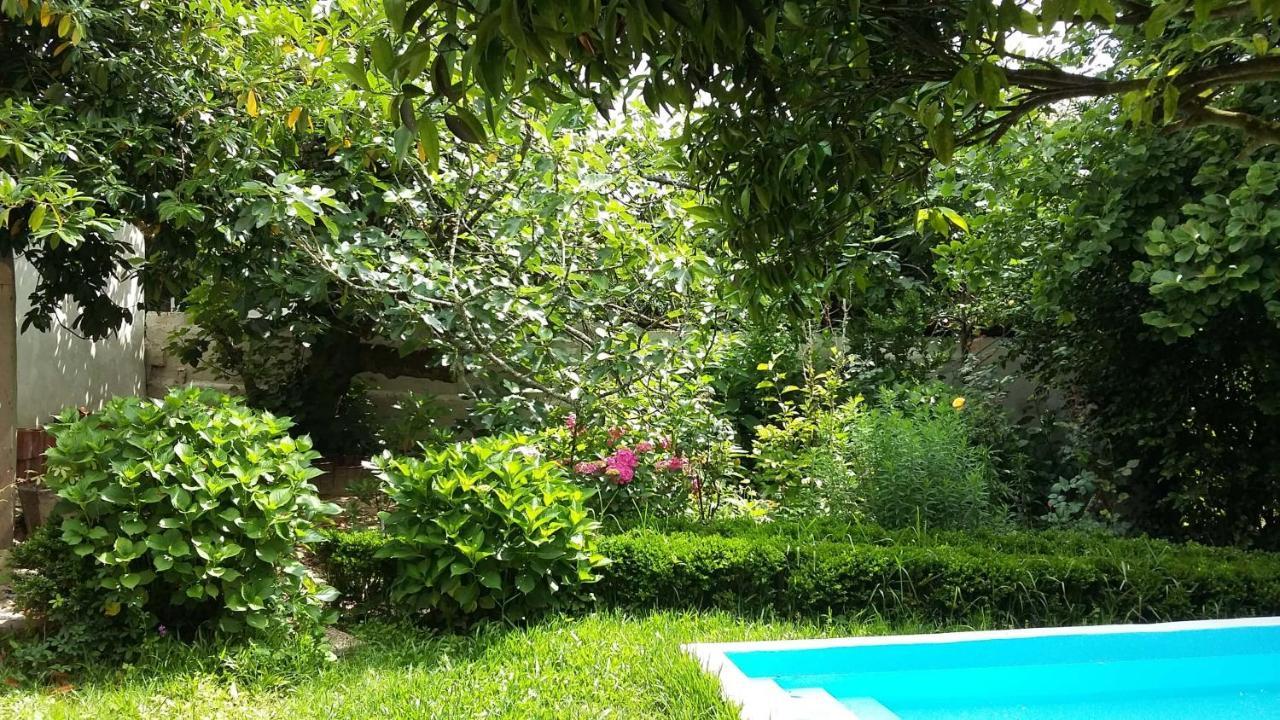 Quinta D'Avo Amelia Bed & Breakfast Alquerubim Luaran gambar