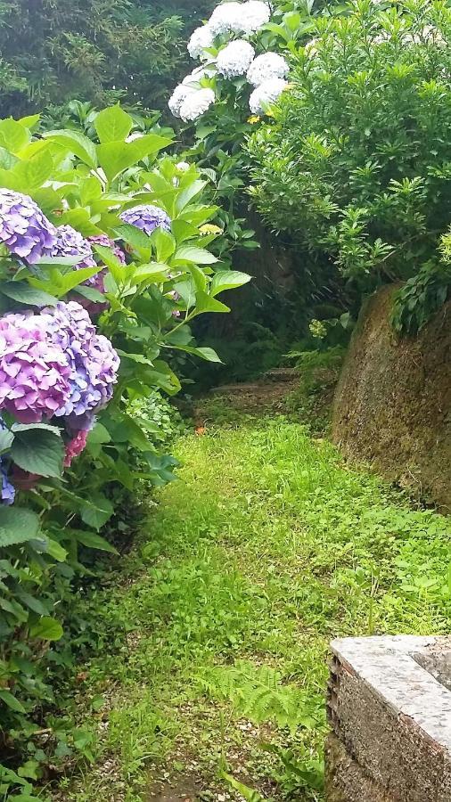 Quinta D'Avo Amelia Bed & Breakfast Alquerubim Luaran gambar