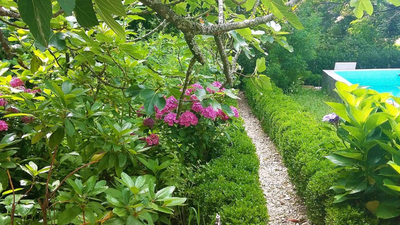 Quinta D'Avo Amelia Bed & Breakfast Alquerubim Luaran gambar