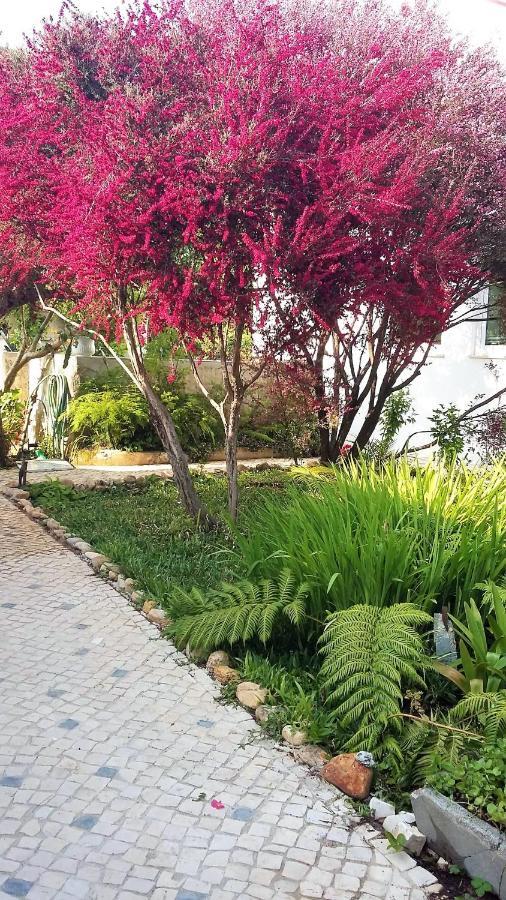 Quinta D'Avo Amelia Bed & Breakfast Alquerubim Luaran gambar