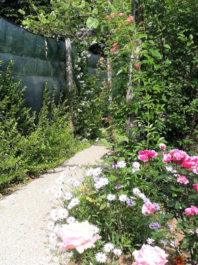 Quinta D'Avo Amelia Bed & Breakfast Alquerubim Luaran gambar