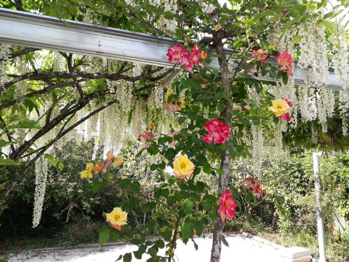 Quinta D'Avo Amelia Bed & Breakfast Alquerubim Luaran gambar