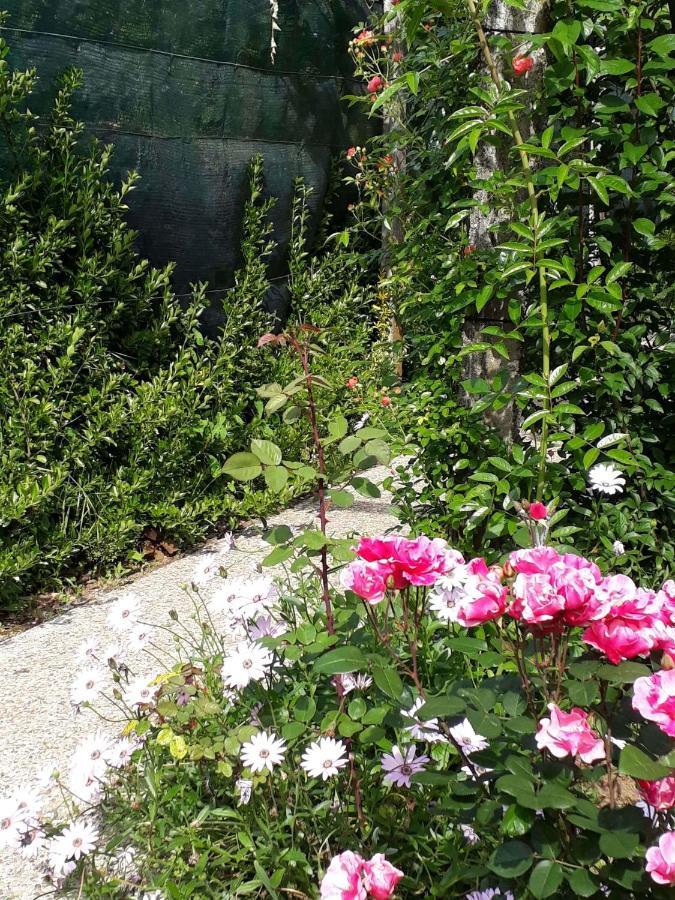 Quinta D'Avo Amelia Bed & Breakfast Alquerubim Luaran gambar