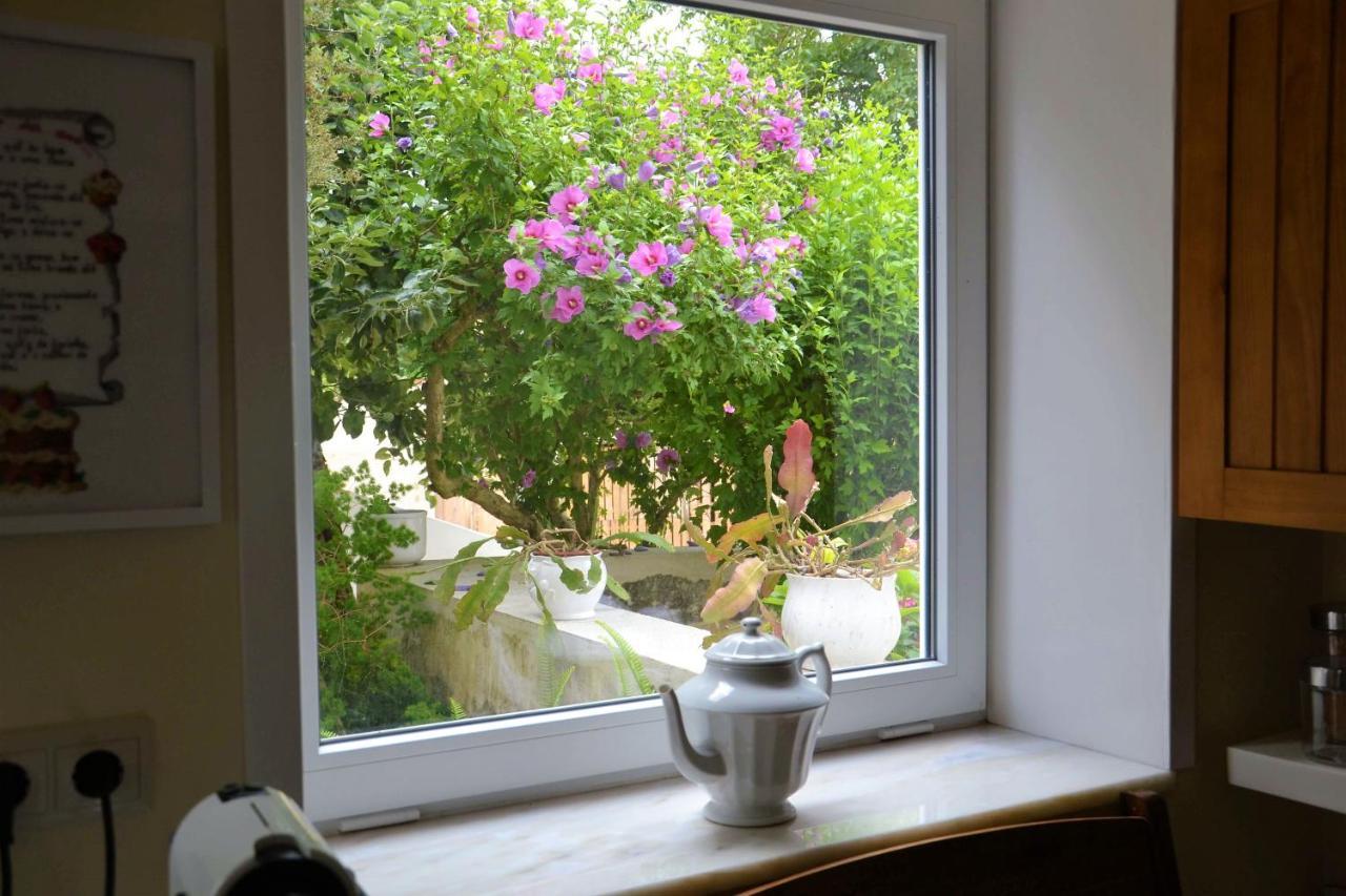 Quinta D'Avo Amelia Bed & Breakfast Alquerubim Luaran gambar