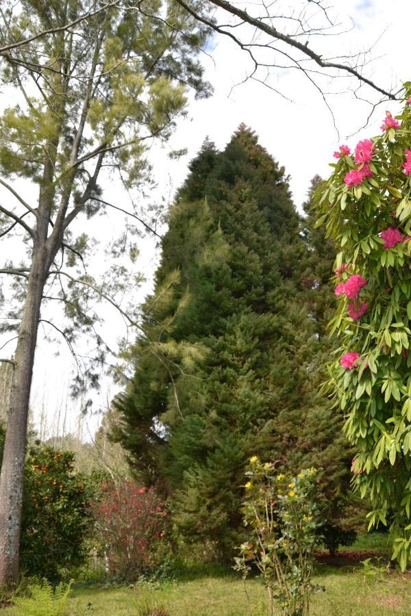 Quinta D'Avo Amelia Bed & Breakfast Alquerubim Luaran gambar