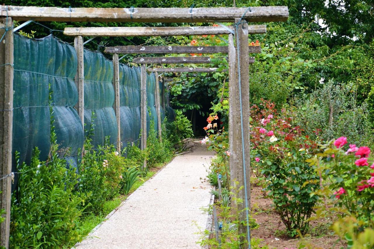 Quinta D'Avo Amelia Bed & Breakfast Alquerubim Luaran gambar