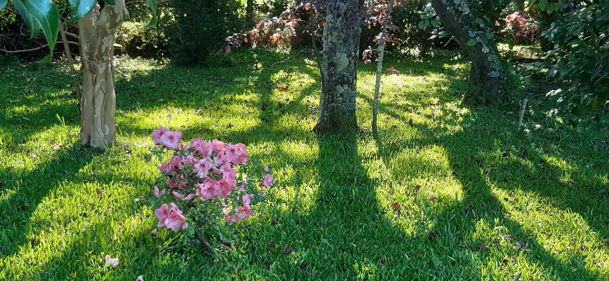 Quinta D'Avo Amelia Bed & Breakfast Alquerubim Luaran gambar